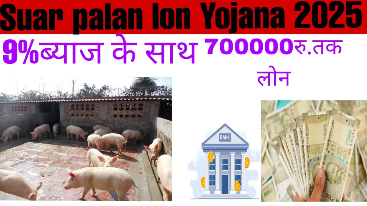 Suar palan loan Yojana 2025: